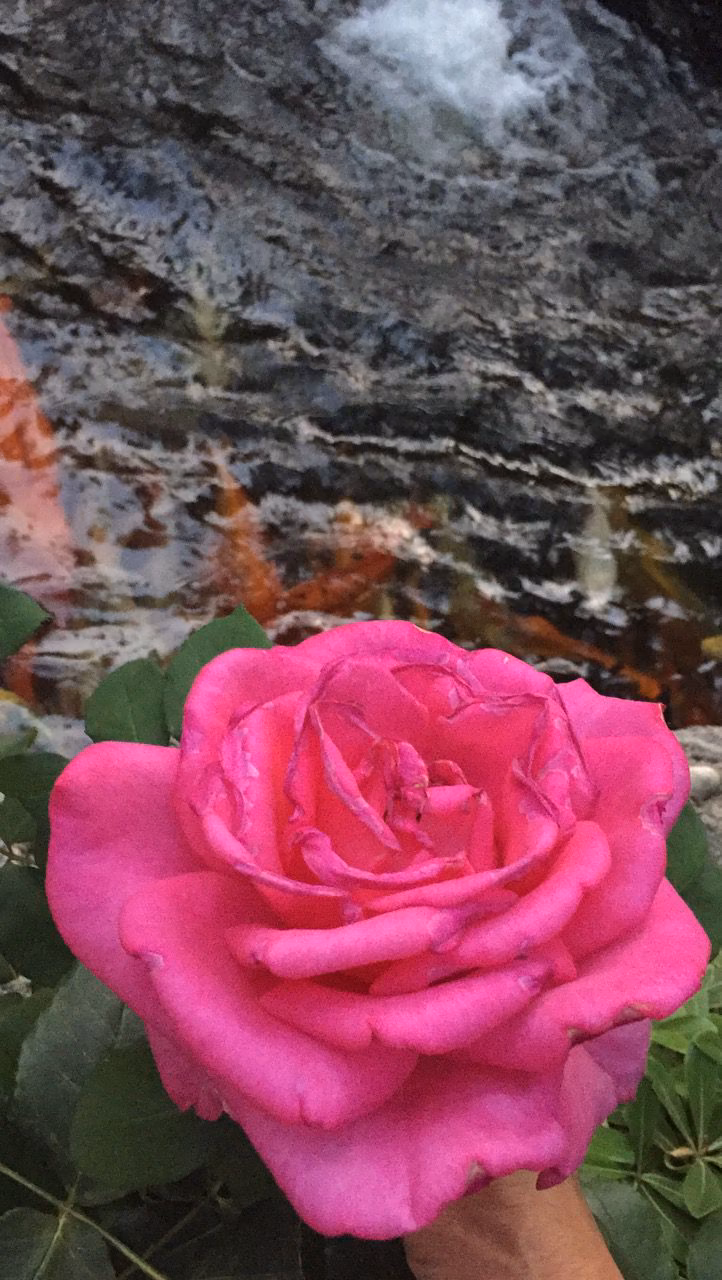 16faa6c4d1469e225591cb38ed8405e4.jpg