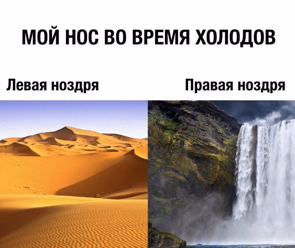 16fdafb53712ad534e91c1d35a420a3c.jpg