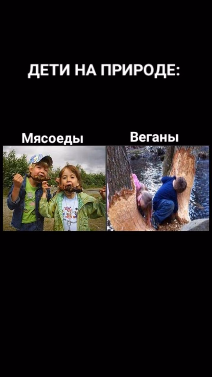 16ff57ed4fb0443a207bb04a6e85bd62.jpg