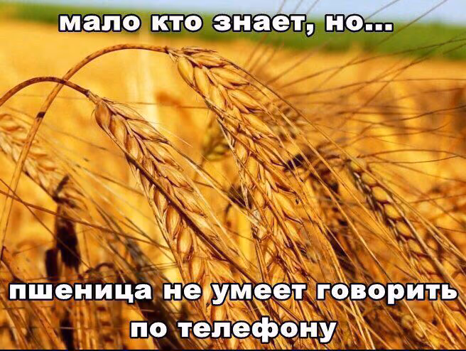 173d4fdba5827a13b6277b54697a904c.avif