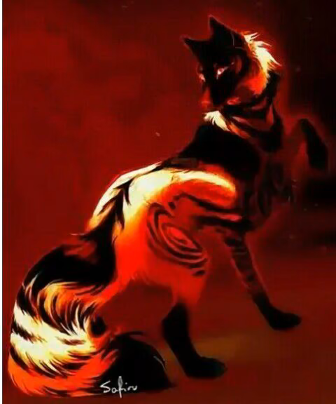 174a2eb34e0f9c64bdab50a22320cbcf.avif