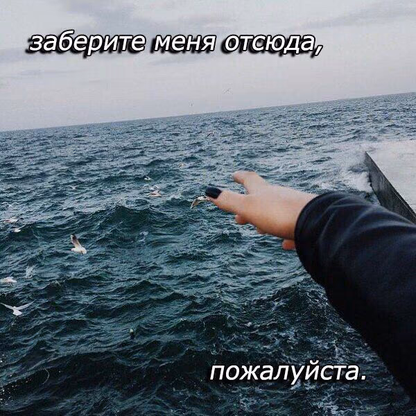 175381a3afbad9648678b7e873ab443c.jpg