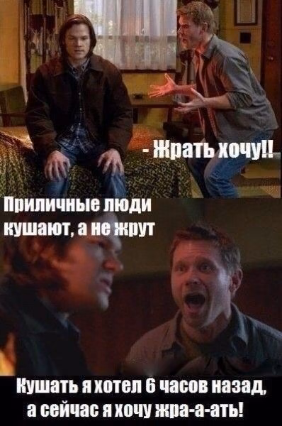 176df16a35b12fd2fe27031191058fda.avif