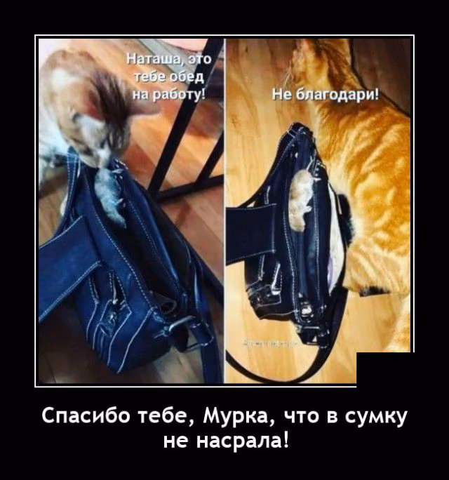 176efc4c5a3769668e4198e111c5ba79.jpg