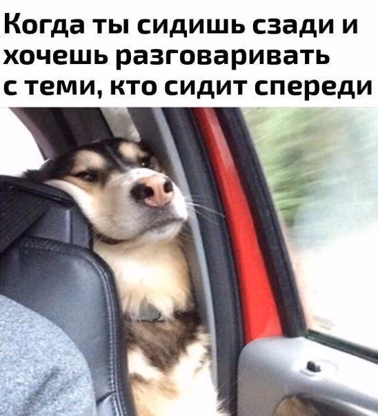 1778f3fd667d75761ef303271a13ee56.avif