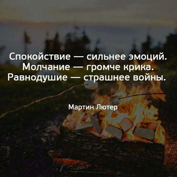 1780aaa0a3f5e7a10e169c56cf6384c4.jpg