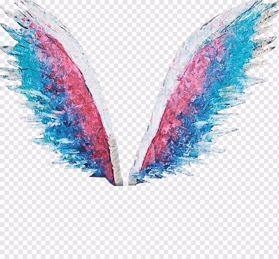 1783888ff35476ef70fe87537b9438f8.avif