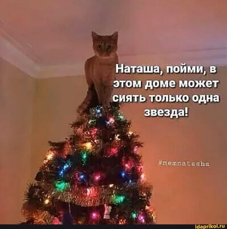 178645efb935e8049e0391737102e54c.jpg