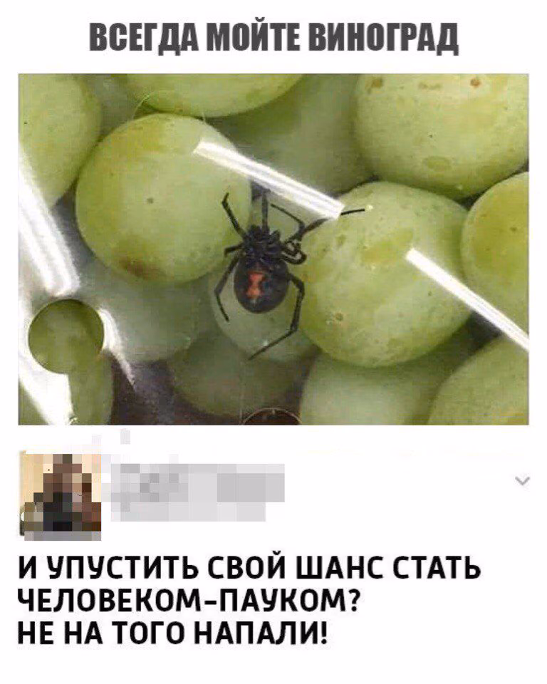 178f592cc2beb4e00cdd5384c422f739.avif