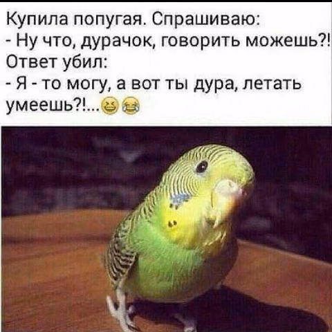 1798307a14c239dd7caa3d1907dd0a6b.jpg