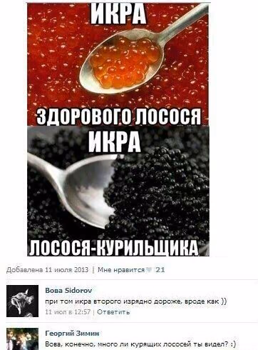 17bc307429e4066ba77fd6b8bc3a9841.avif