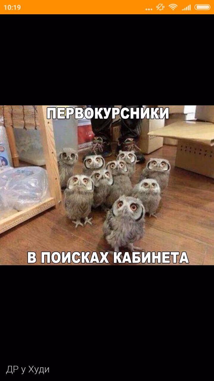 17bdb69b62ed07801a39e3a0c1bd417e.jpg