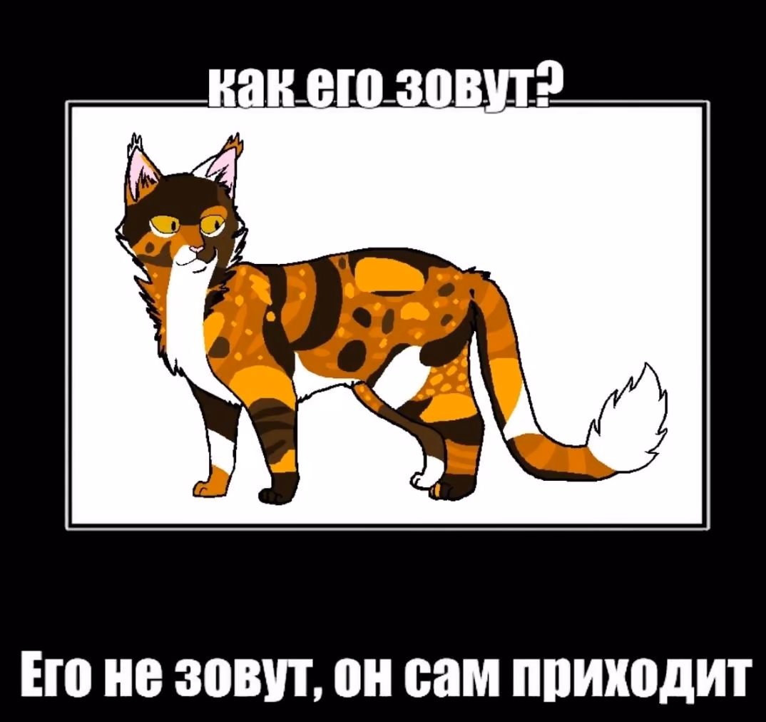 17beb3799341cd3adc402c59bcd26aa0.avif