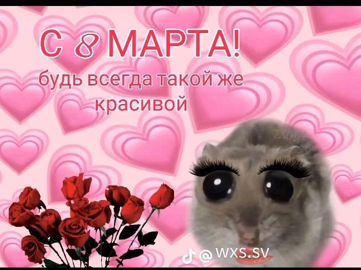 17ce69c8876adedb3f979fec2382440a.avif