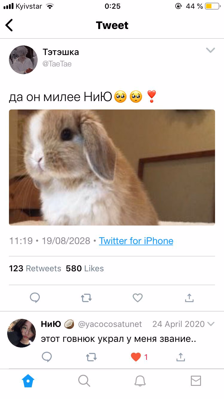 17f74431e663327cf5a67abd78eb6cc9.jpg