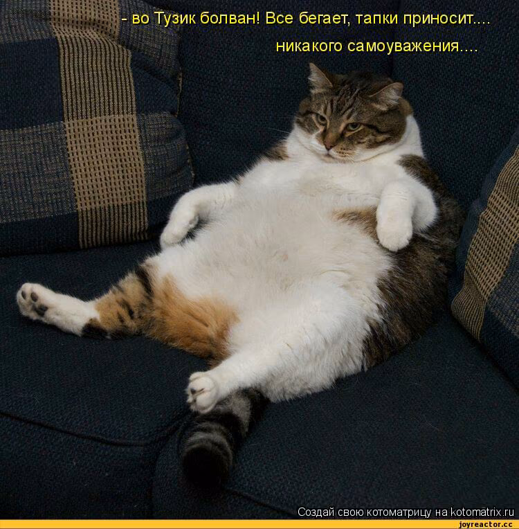 17f81af7aa6ffdd2d254069c27be706e.jpg
