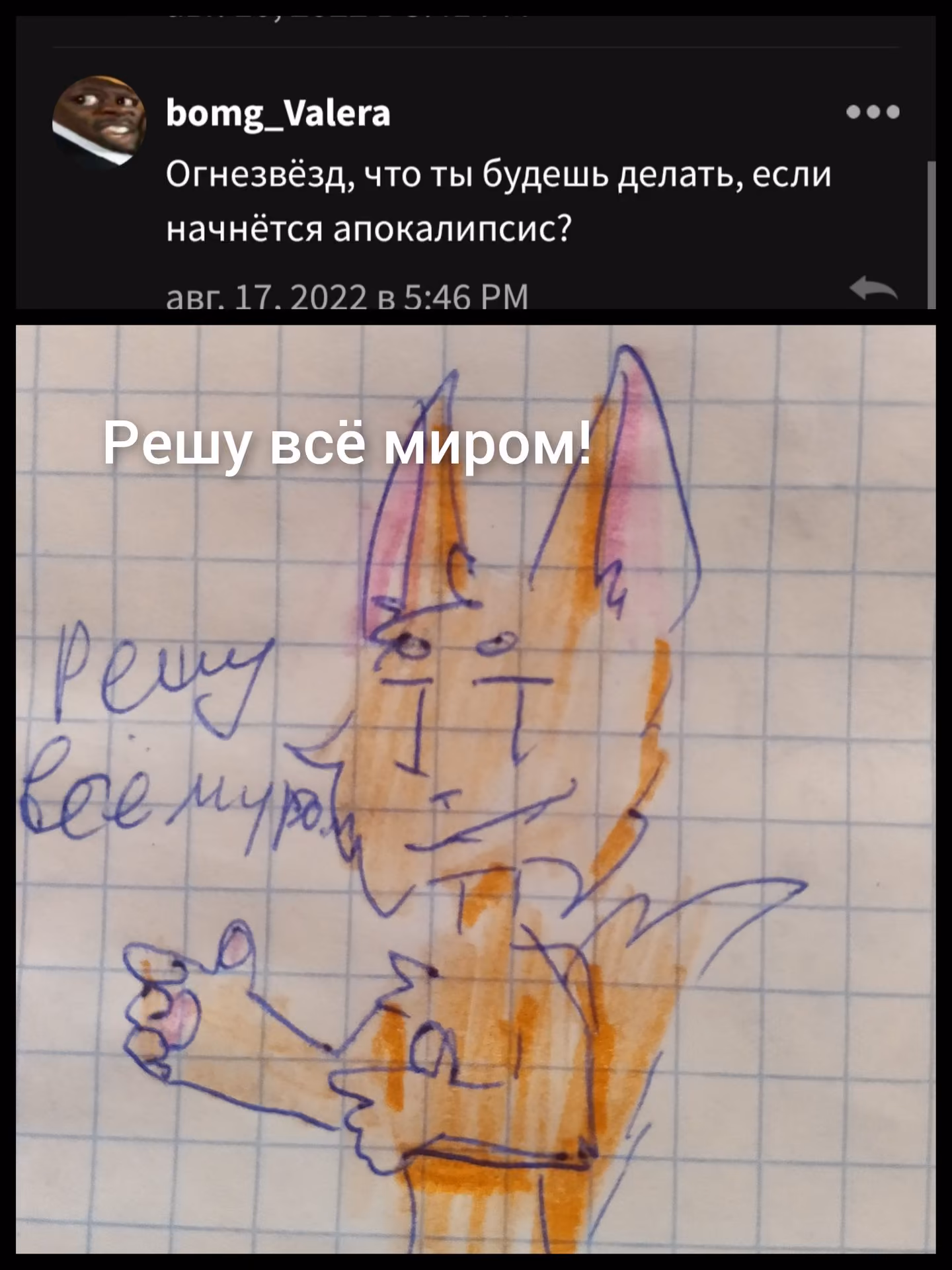 180dc3d674741631c84fd1405aabe074.avif