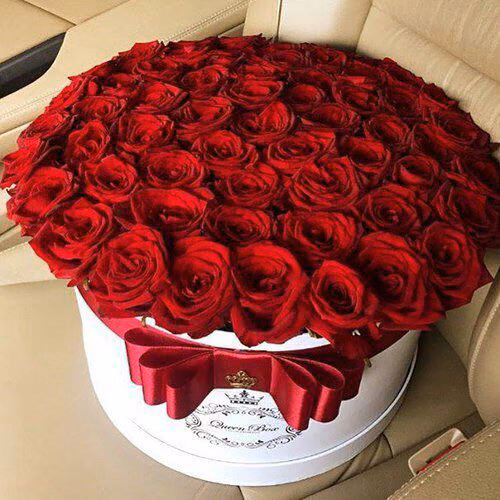 180f119026a6b67ff91b99cd47ae9b16.jpg