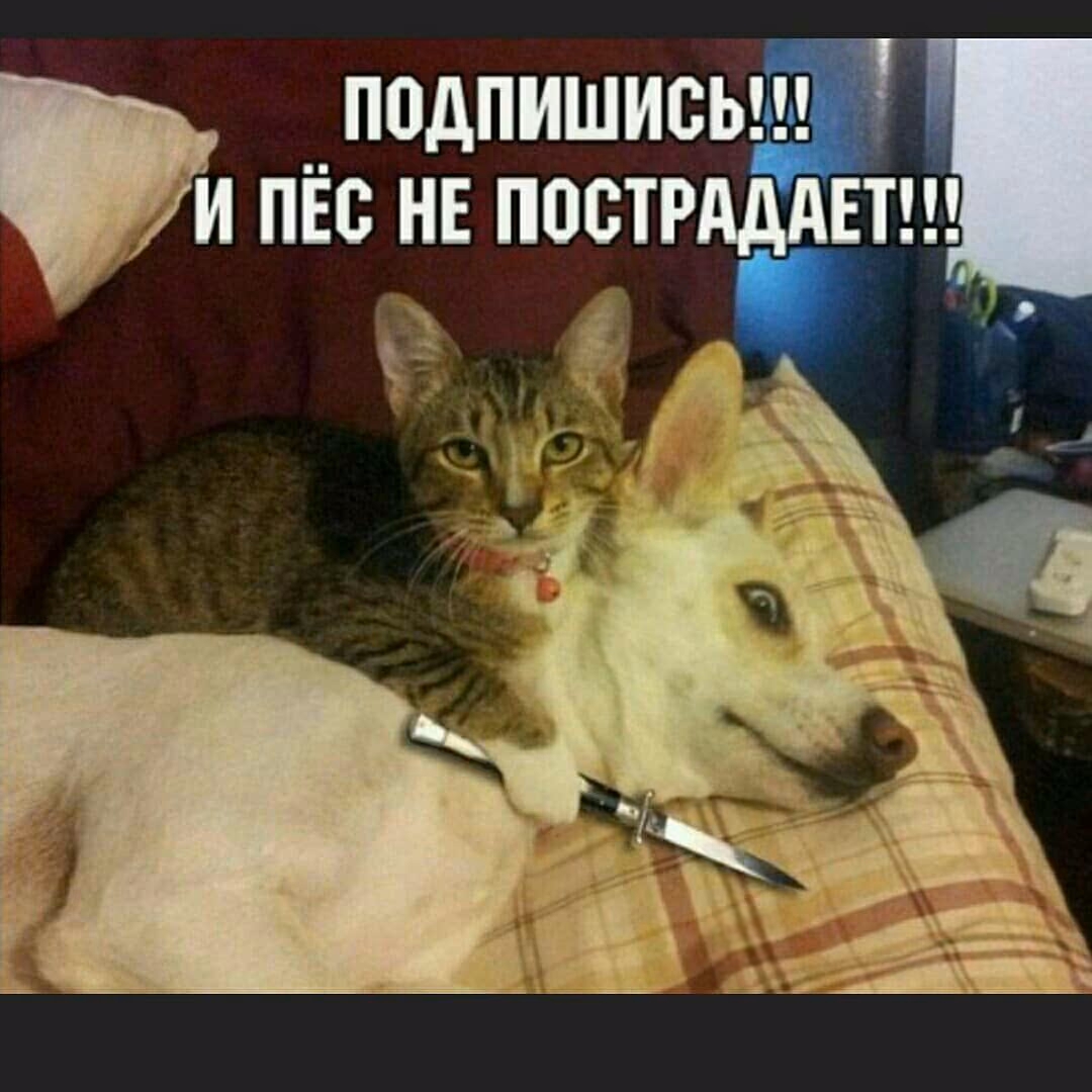 18295691148c553d0b33e1eba46a8b71.jpg