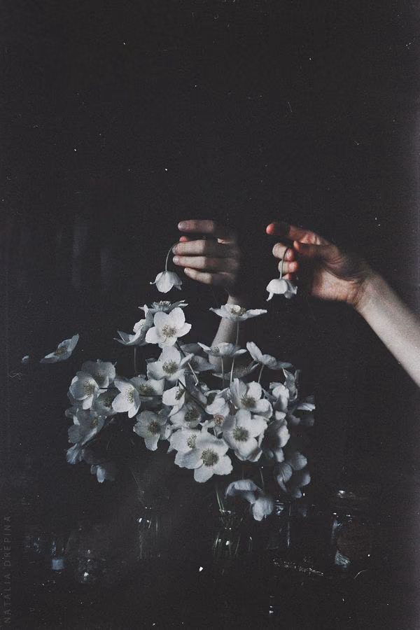 183801de1434f8d75518218183645d6e.avif