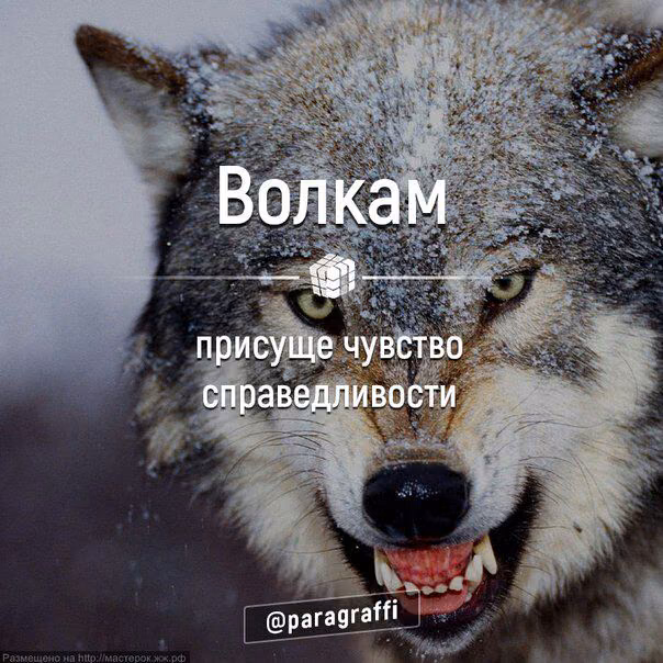 1842bfbefe46a41be76a3f9c7c53f07a.avif