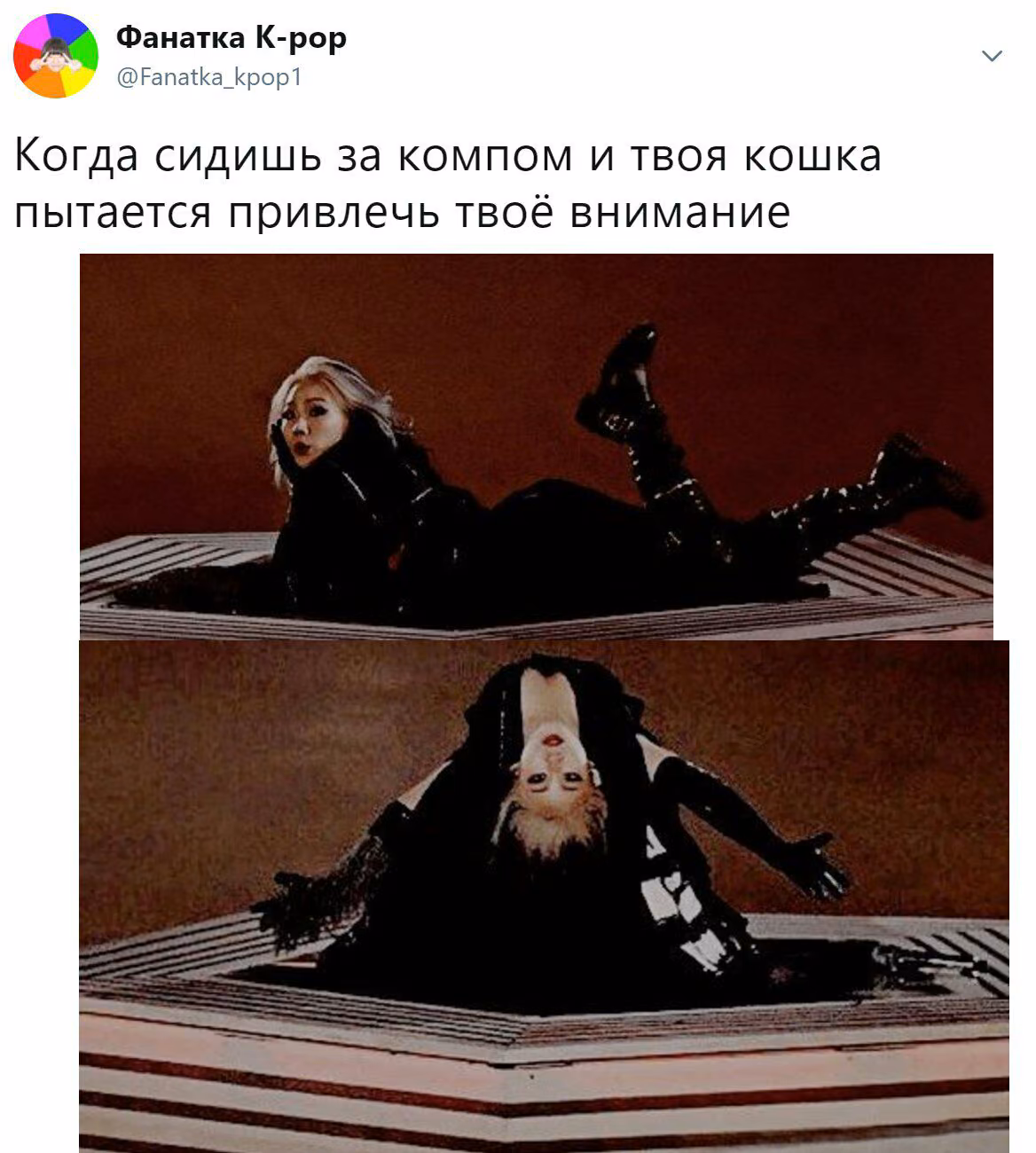184370938e26f438c6ae3bf102ee6d57.jpg