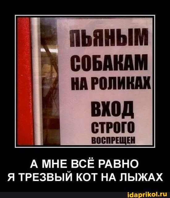 185e2f8e56c7d89b6b6f160cf9ba2e8a.avif