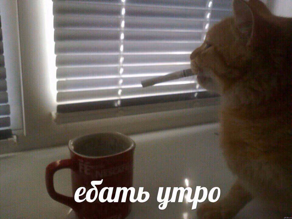 1866d20f036df676f1425a777c2377c7.avif
