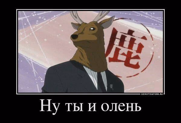 186829065079412f6c5c8ce911a0ba65.jpg