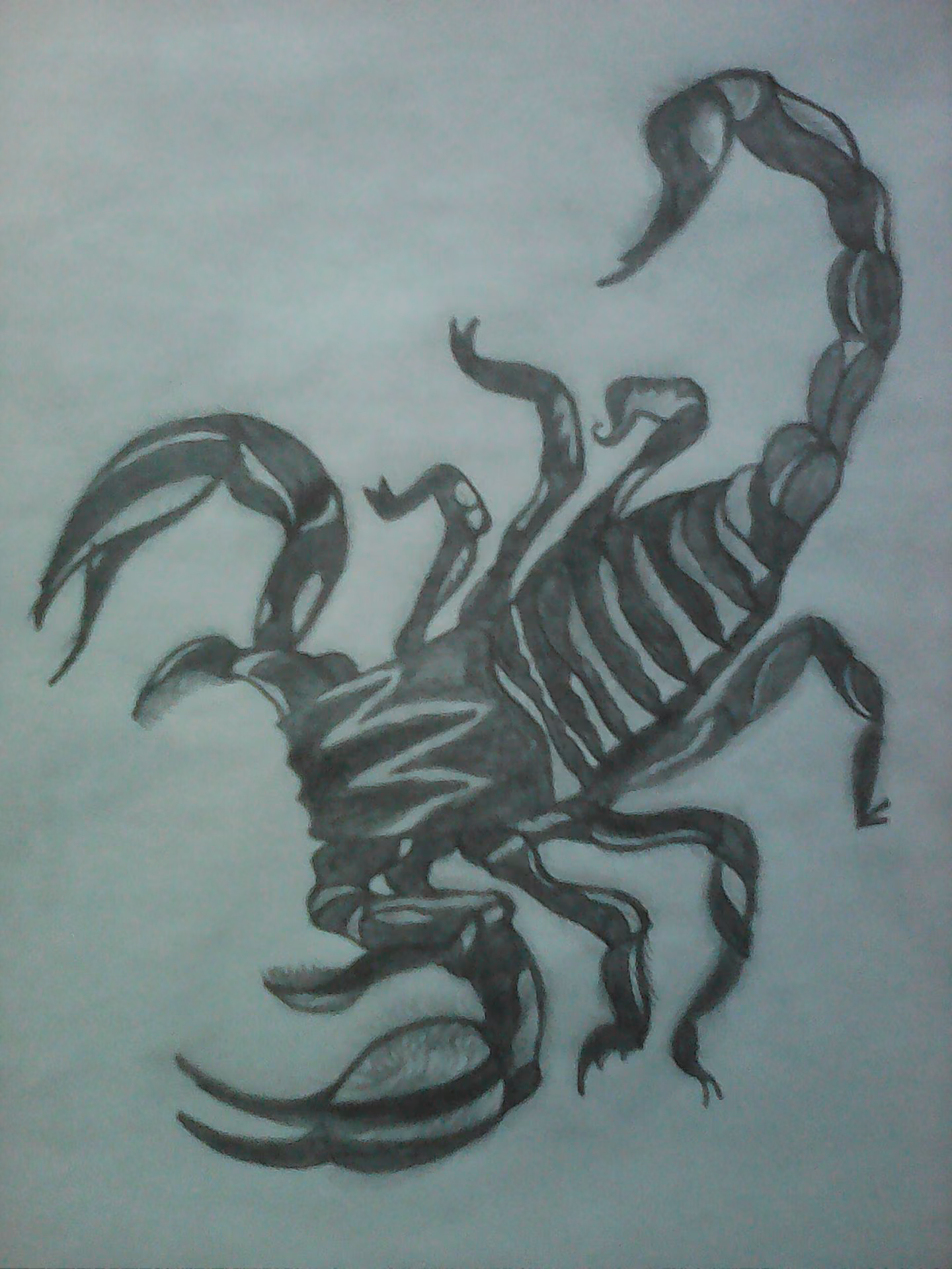 186f5d50b50ef6d651ed0c368a9cb57b.jpg