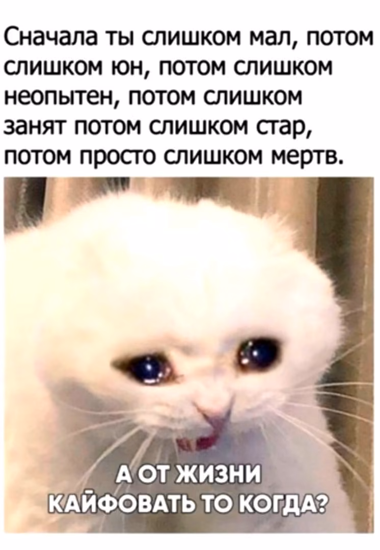 18720fd3e69de10163efc715b928f254.jpg