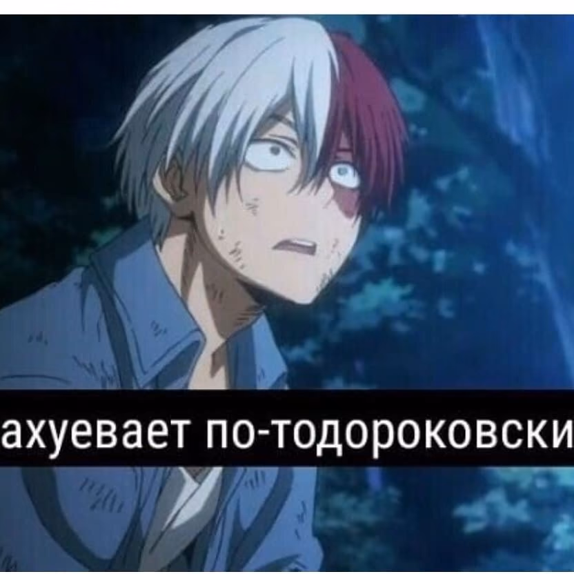 1875e90ddd167aa4c55c4c54d8e67c70.avif