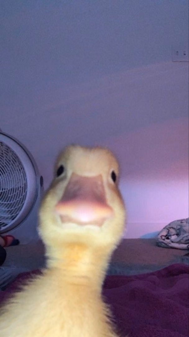1893791200d5e0d1d9188438513b09da.avif
