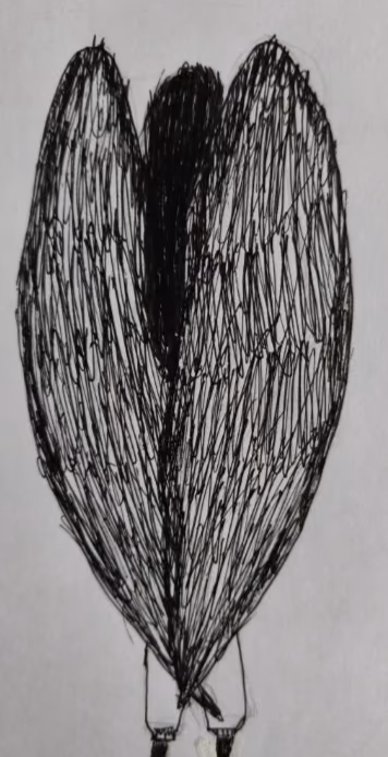 IzqLh9JkEjrCQ0Nxbr3wGe3NfDoVrrCzLhlmdQxm.png