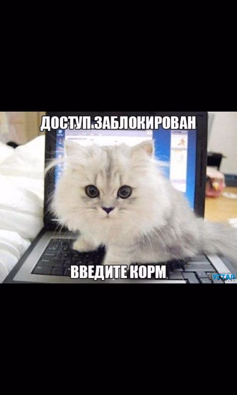 189af72bda7b938fd3d6b55735c0ee24.avif