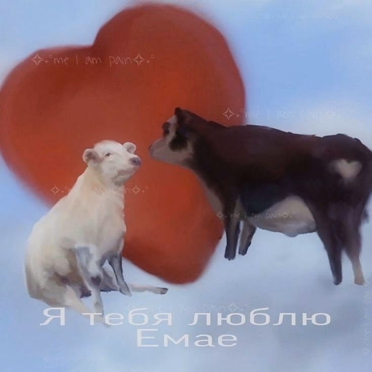 18a6137dfbb9552d3b0409e810dae790.avif