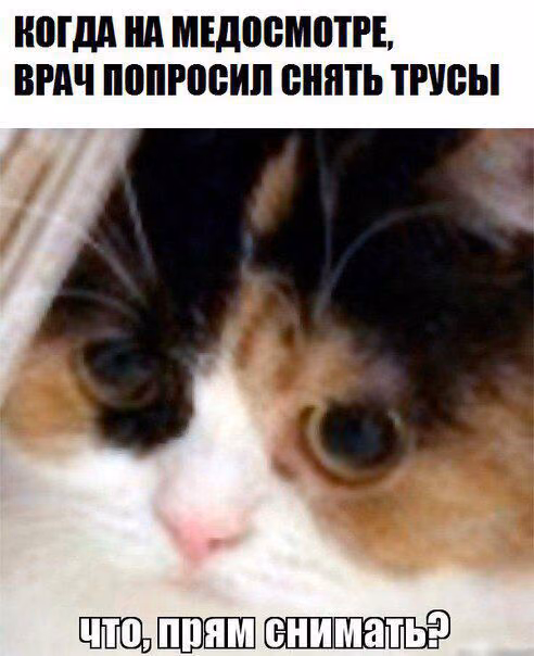 18aaa53321c116c3264d211aae65da24.avif