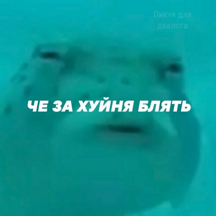 18bb5c6627eda3c53be87ee7fc124b3a.jpg