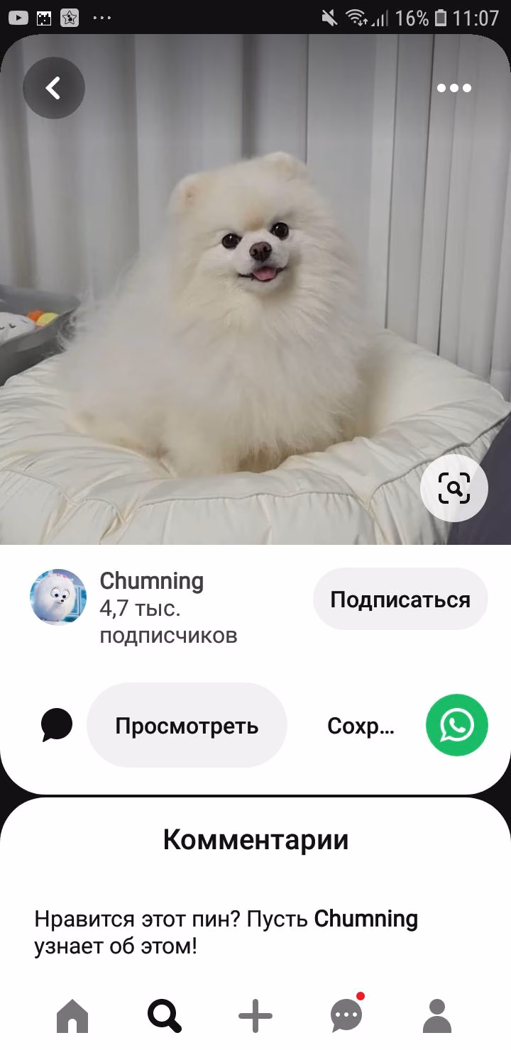 18bdddf1a5fbff1d6cdc44a0c3a3cf1a.avif