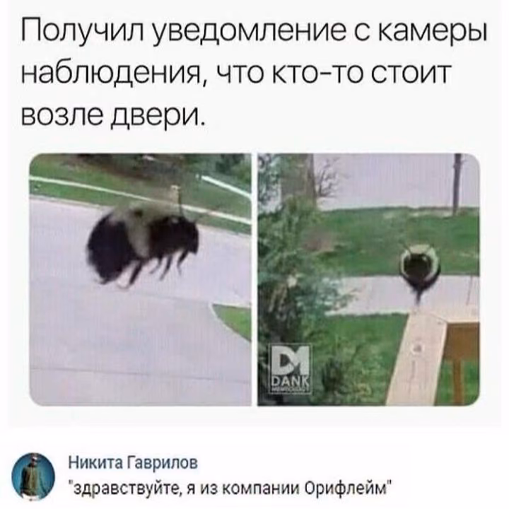 18da857838b9dca8f0d1a8b9de855127.avif