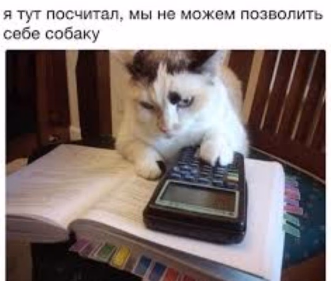 18e57d7acb3cc8a29cded8679bed8640.avif
