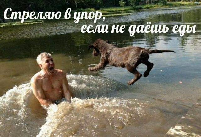 18e6f711904f0a649eca0f0da535789c.avif