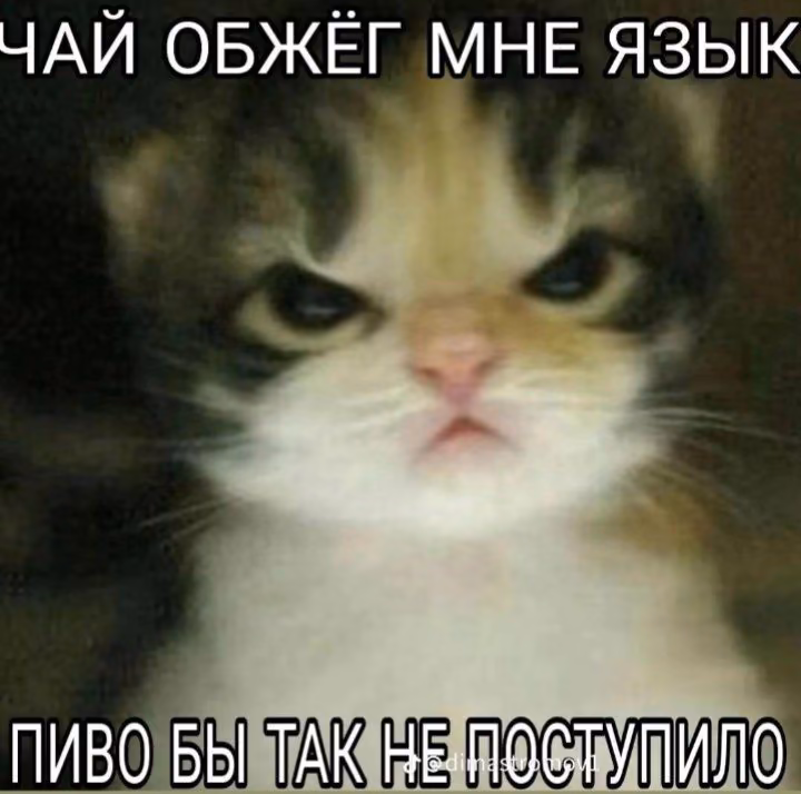 18ed8686a68357e80de74e9e5a759d3e.avif