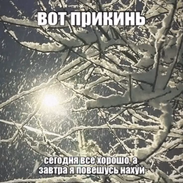 18f54246e20fabfd27eed322fa5f7b9d.jpg