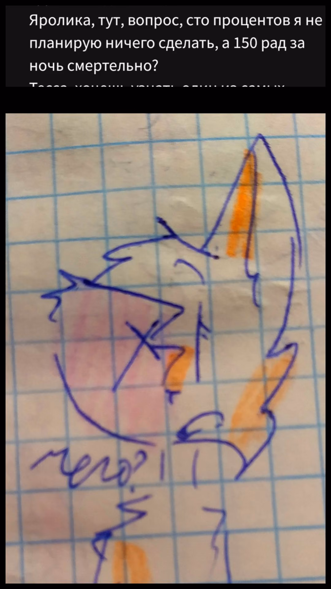 1915a5c9436f0d4ffdc04cb37ef976c6.avif