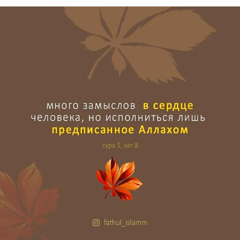 19192a9030c5b177ad6e7a7a8461596c.avif