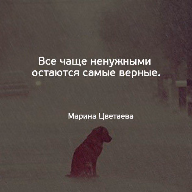 195bbd452f704786a2f89f486a975d48.jpg