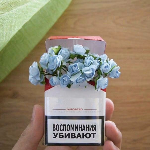 19620752ba9499d288e699ec7ab3ecc4.jpg