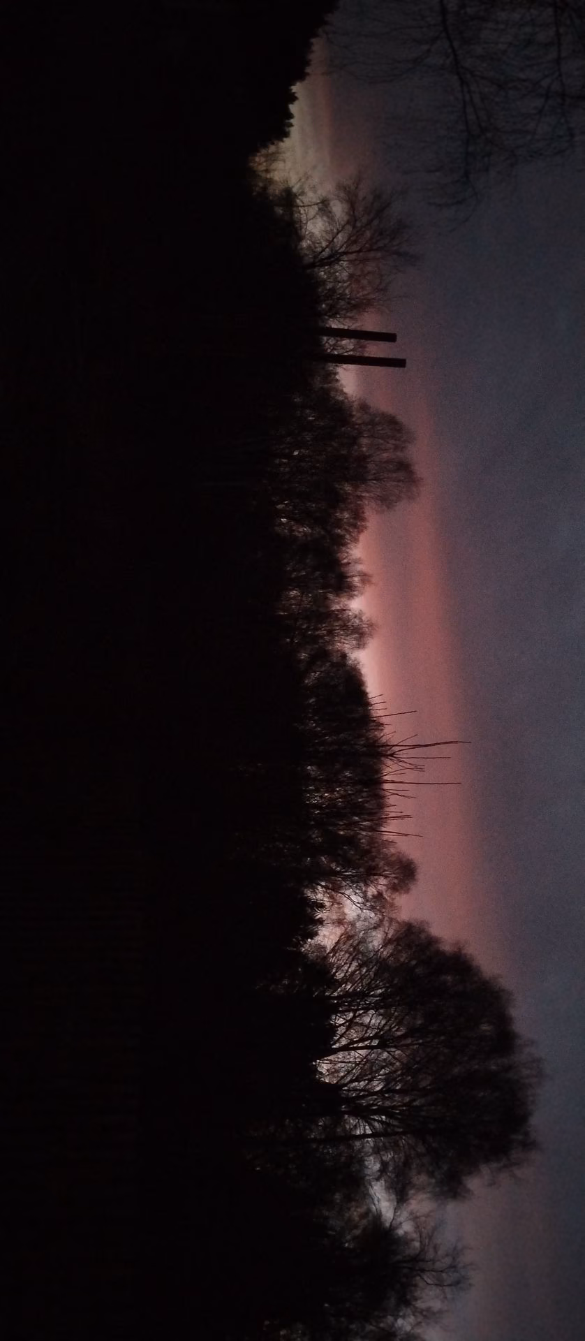 199b8ec917dd60857c5abc1e361f6207.jpg
