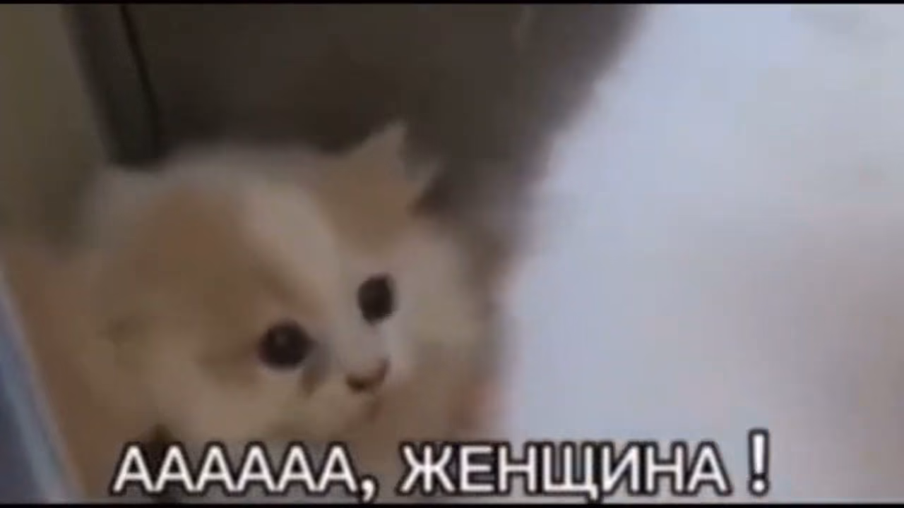 19a11d8c847ac40d71b4c3dc831597e8.jpg